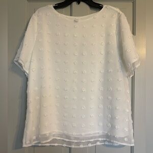 White Swiss dot blouse 1X Sheer Chiffon Textured Polka Dot Top